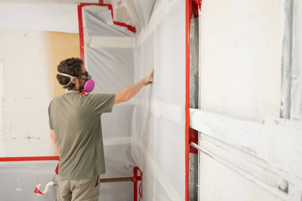 Best Industrial Mold Remediation  in North Branch, MN